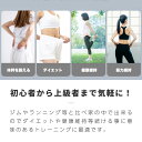 プランクトレーナー タイマー付き 体幹トレーニング 器具 室内 筋トレ ダイエット 筋トレグッズ 筋トレ器具 プランクエクササイズ器具 家トレーニング器具 宅トレ器具 宅トレグッズ 男性 女性 背筋 腹筋 足 2