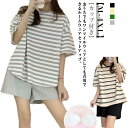 セットアップ ルームウェア 半袖 部屋着 パンツ カップ付き Tシャツ カジュアル ボーダー柄 上下セット パジャマ 寝巻き 夏用 2点セット パッド付き ゆっ...