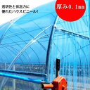 園芸用 農業用 ハウス 幅700cm 屋根用ハウスビニール ビニールハウス 屋根ビニール 農業用ビニール 栽培 園芸用品 ハウスビニール 家庭菜園 農園 温室フィルム 農業用ハウス 農業用フィルム 温室 ビニール 長さ10m シート ハウス栽培 農業用ビニール 農ビ 農PO 厚み0.1mm