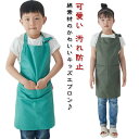 エプロン キッズ キッズエプロン 子供用エプロン こども おしゃれ 綿 ナチュラル ポケット付き 女の子 男の子 小学生 高学年 入学準備 簡単 無地 シンプル かわいい 汚れ防止 サイズ感調節可能 送料無料