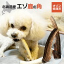安心のオゾン処理加工◆犬のおもちゃ鹿の角 蝦夷鹿◆北海道産10〜25cm★小型犬〜超大型用 デンタルケア 送料無料 しつけ いたずら 甘噛み防止 誕生日プレゼン...