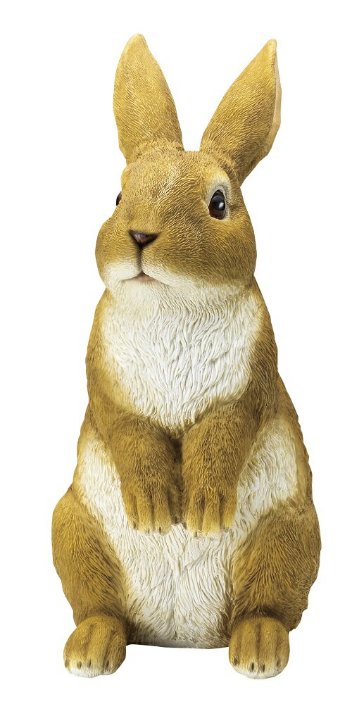 Rakuten - 森のラビット LL 置物 ガーデン雑貨 オーナメント 庭 部屋 玄関先 うさぎ 雑貨 ガーデニング ガーデニング雑貨 ガーデン ガーデン雑貨