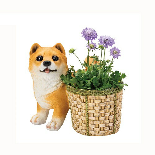 Rakuten - ドッグ プランター 柴犬 置物 ガーデン雑貨 オーナメント インテリア 庭 玄関先 犬 ガーデニング ガーデニング雑貨 ガーデン ガーデン雑貨