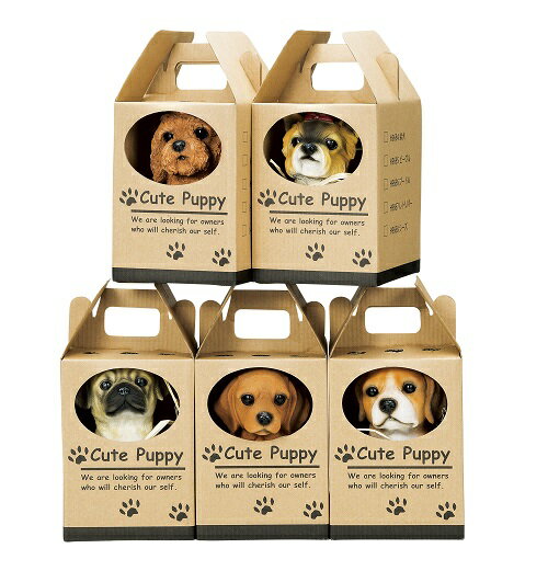 ギフトボックス入り　ラブラドール　犬　置物　インテリア　庭 部屋 玄関先 オーナメント 雑貨 ガーデニング ガーデニング雑貨 ガーデン雑貨