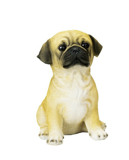 ギフトボックス入り　インテリア　犬 パグ オーナメント　置物　庭 部屋 玄関先 インテリア 雑貨 ガーデニング ガーデニング雑貨 ガーデン雑貨