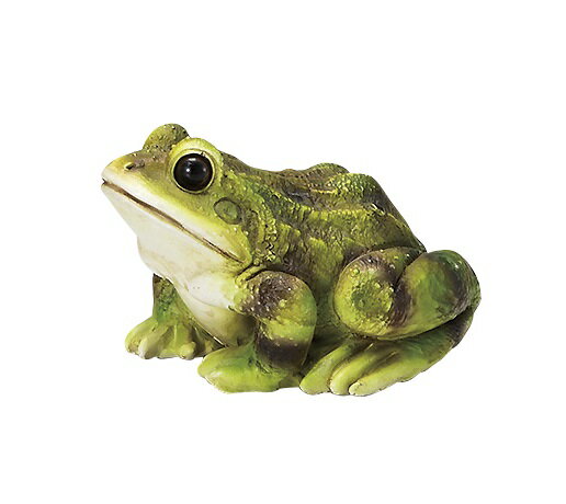 ミニカエル Sサイズ 置物 ガーデン雑貨 オーナメント かえる