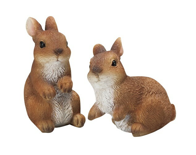 森の仲間たち うさぎSS