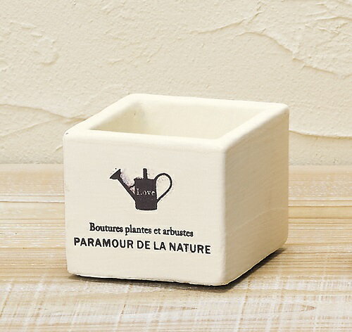 󥰥ݥå  SSS ƫ ȭС ץ󥿡 ǥ˥ ƥꥢ  ӥ  ǥ˥ ǥ˥󥰻 ǥ ǥ󻨲