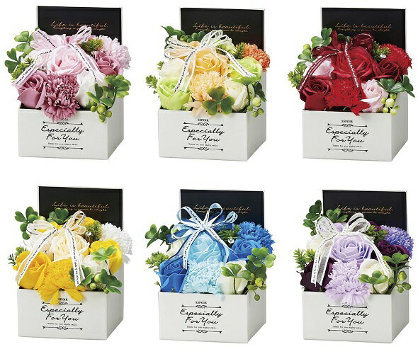 �����ץե��ܥå���S ��åɡ��֡� ���ե� ���� �����