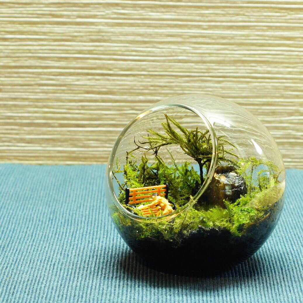 【完成品】苔テラリウム 選べる4サイズ 誰かの...の紹介画像2