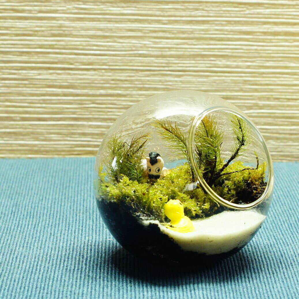 �ڴ����ʡ� �ݥƥ�ꥦ�� 8cm �ޤ��ʤ��Ƥ����� �и��ܥȥ� ����ƥꥢ ���� ���տ�ʪ ���꡼�� �ץ쥼��� ������ ����� ���ؽˤ� ������ ���޲� ���̲� ���ե� ���۽ˤ� �뺧�ˤ� ��� ���� ���� �����ƥ�ꥦ�� ��� �ǥ��� �࿦�ˤ� ����