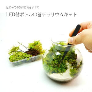 おうちで手作り 苔テラリウムの栽培キット 手作りキットのおすすめランキング わたしと 暮らし おうちで手作り 苔テラリウムの栽培キット 手作りキットのおすすめランキング わたしと 暮らし