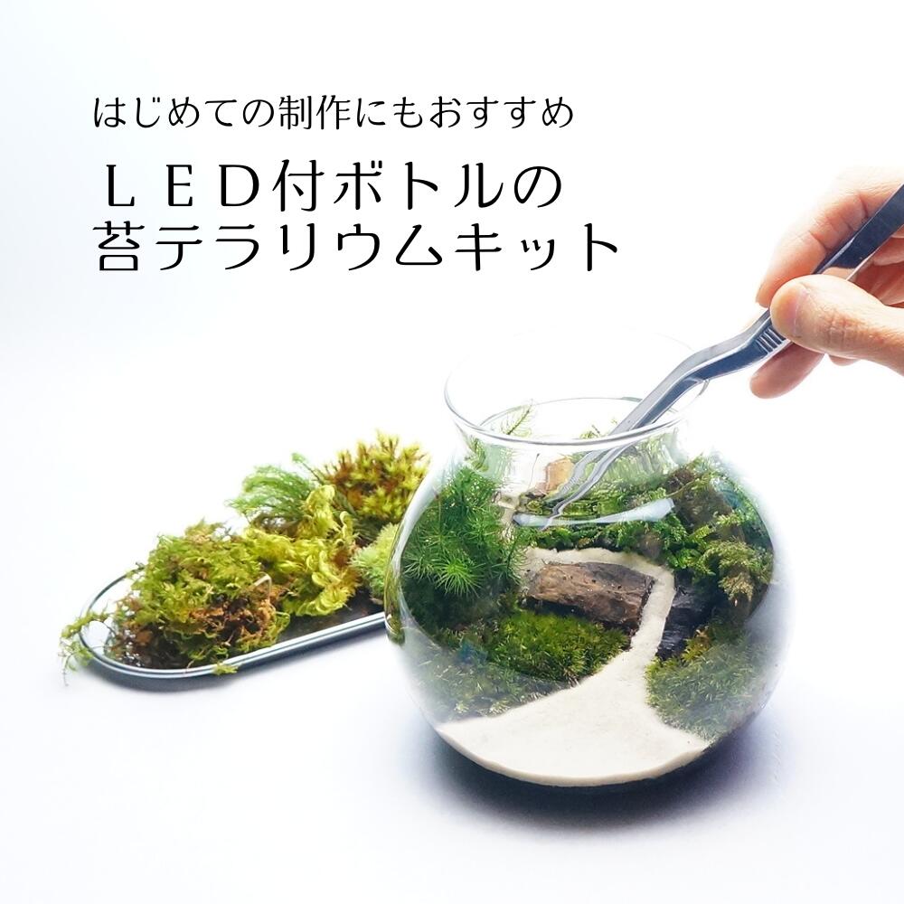 【スターターキット】LEDライト付ボトルテラリウム　作成キット 13cm 苔セット 苔 ギフト　プレゼントにも　送料無料