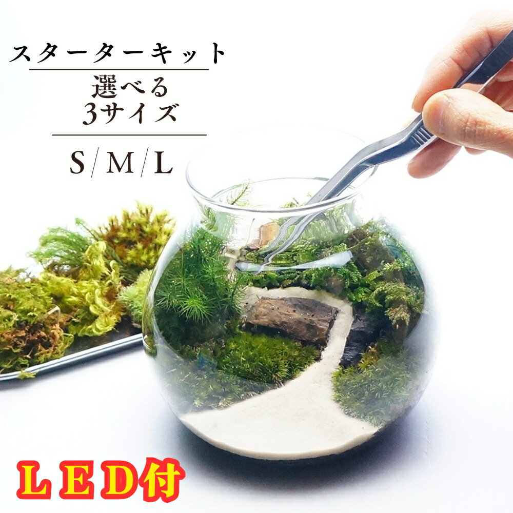 LEDライト付 ミニサイズ ボトルテラリウム 10cm 苔テラリウム 完成品 至高の食事処 テラリウム プレゼント ギフトにも