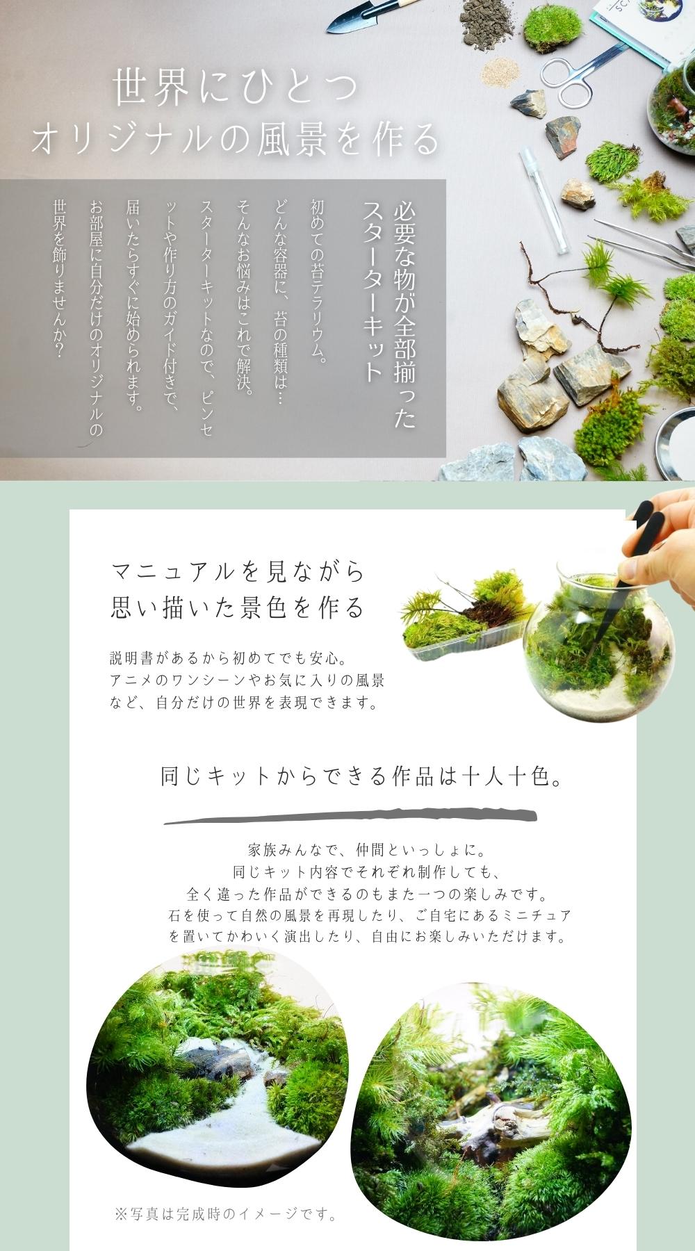 �ڥ������������åȡ� �� ���տ�ʪ ����ƥꥢ���� �ץ쥼��� ���ե� 3�������������٤� LED�饤���եܥȥ�ƥ�ꥦ�� �������å� �ݥ��å� �� ���顼����� �ϥ�ɥᥤ�� ����å� ���� ���۽ˤ� ��Ź�ˤ� ������ ���ؽˤ� ���޲� ���̲� £��ʪ ����ƥꥢ ���꡼��