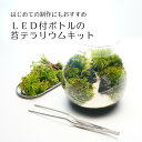 【スターターキット】LEDライト付ボトルテラリウム　制作キット 16cm 苔セット 苔 ギフト　プレ ...