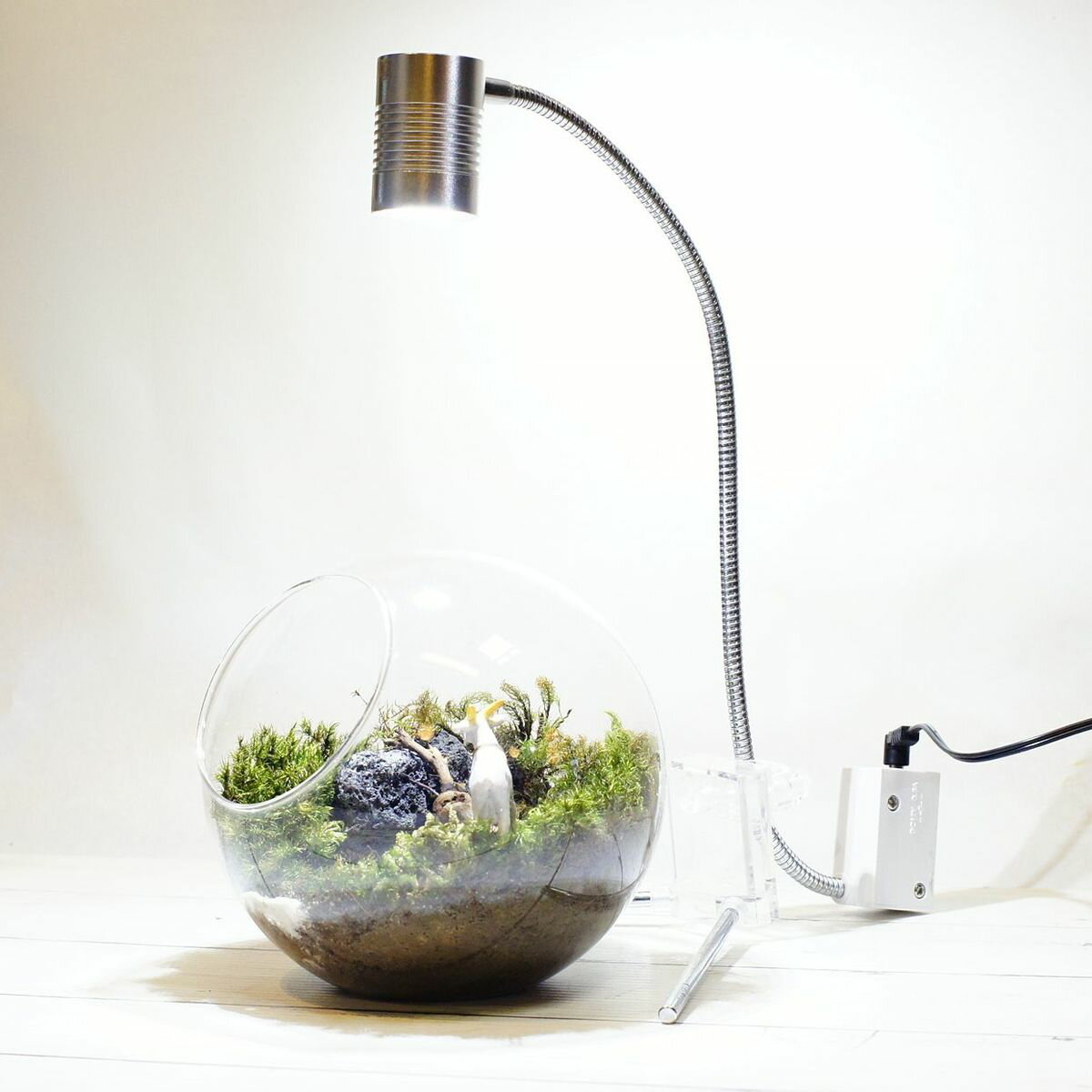 GEX リーフグロー 苔も育つ LEDスポットライトボトルテラリウム 苔テラリウム 苔盆景にも