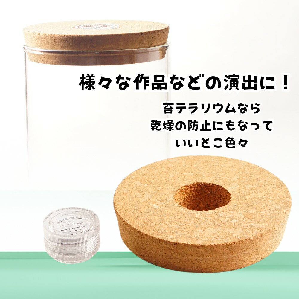 LED�饤���դ� �ܥ������� ���륯�� 55mm 70mm 92mm ���� ���� �ݥƥ�ꥦ�� ���տ�ʪ �ϡ��Хꥦ�� ���Ѥ�