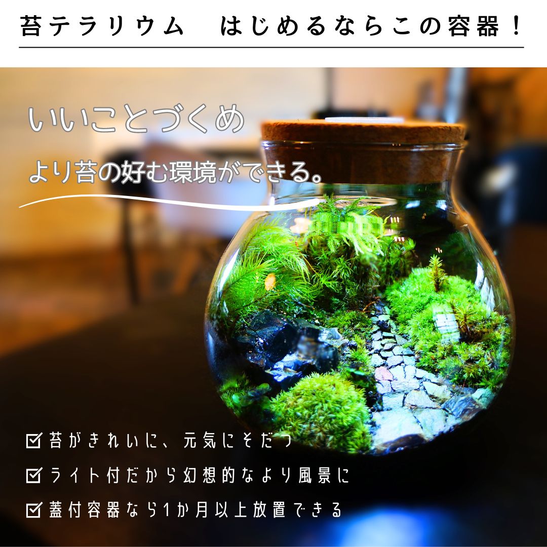 �ݥƥ�ꥦ�� �ƴ� LED�饤���դ� ���륯�� ���饹�ܥȥ� �ܥȥꥦ�� �ݥå� �ܥ��� ���� ���� �ɥ饤�ե� ������� ����ƥꥢ���� �����ץ��� ���տ�ʪ ��å������ܥȥ� ���쥯����󥱡����ˤ�