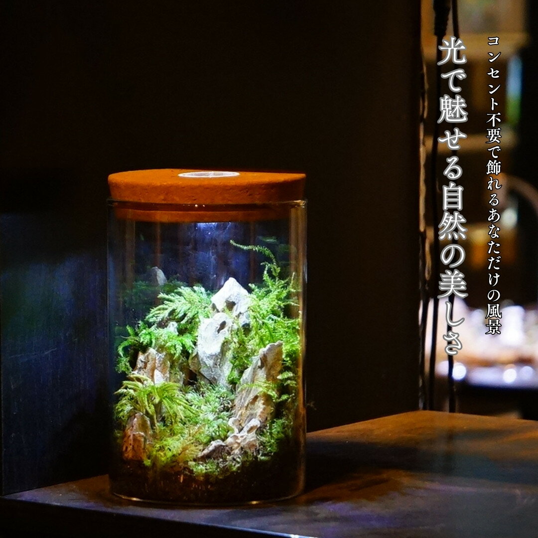 LED�饤���դ� ���륯�� ���饹�ܥȥ� �ݥƥ�ꥦ�� �ƴ� �ܥȥꥦ�� �ݥå� �ܥȥ� �������ꥦ�� �ܥ��� ���� ����