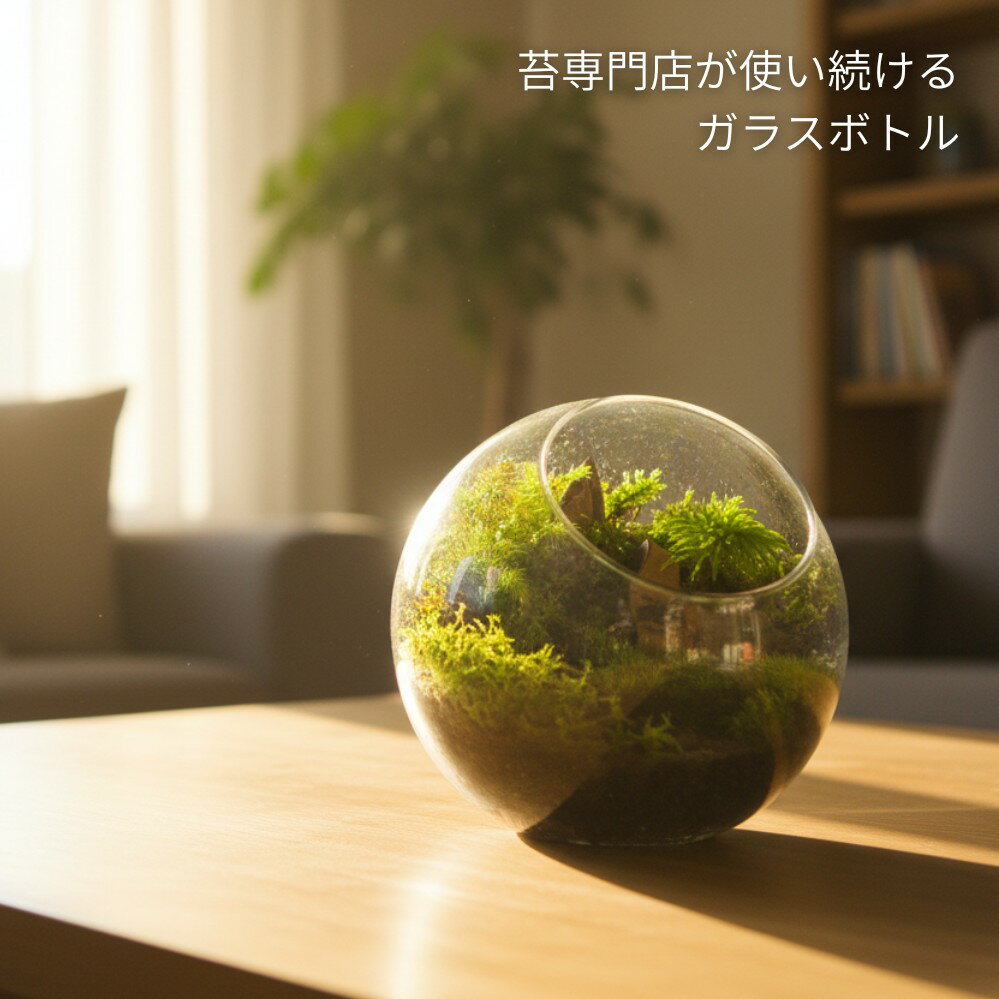 ���ƴ�۴ݷ� �и� �Ф�� �ݥƥ�ꥦ�� ���饹�ܥȥ� �ץ���Ȱ��� DIY ���� ����ƥꥢ ������� Ʃ�� �������� ¿����ʪ �����ץ��� ���տ�ʪ �ߥ˿��� �ݥå� �߷� ���� ���� �ܥ��� ��� 8cm 10cm 12cm 16cm