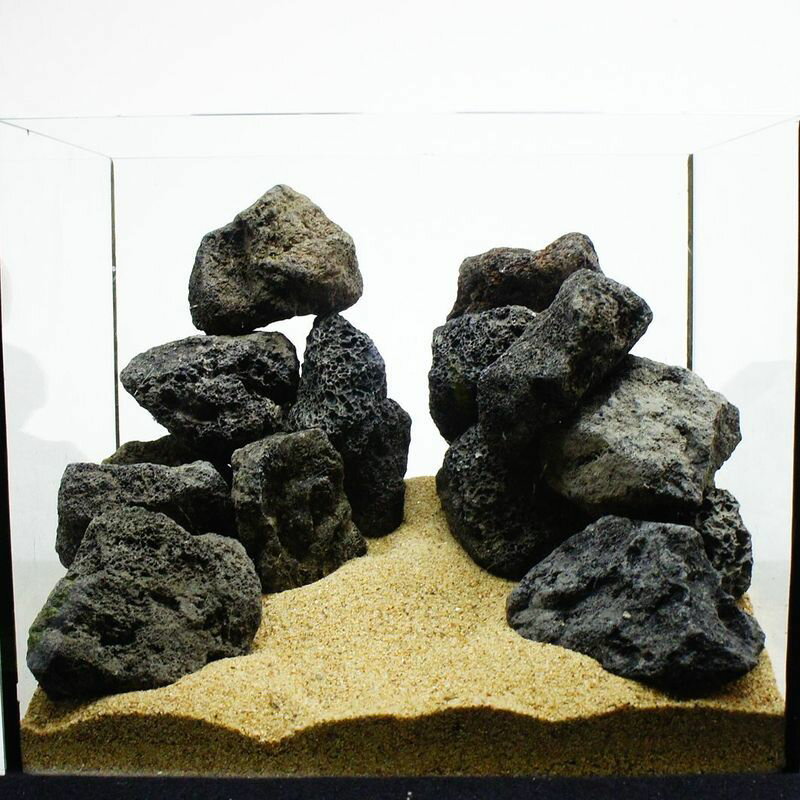 �ڸ�ʪ��5-10cm �ϴ��Х��å� 25���廣�� �������ƥ�ꥦ�� �������ꥦ�� �ƥ�ꥦ�� ����