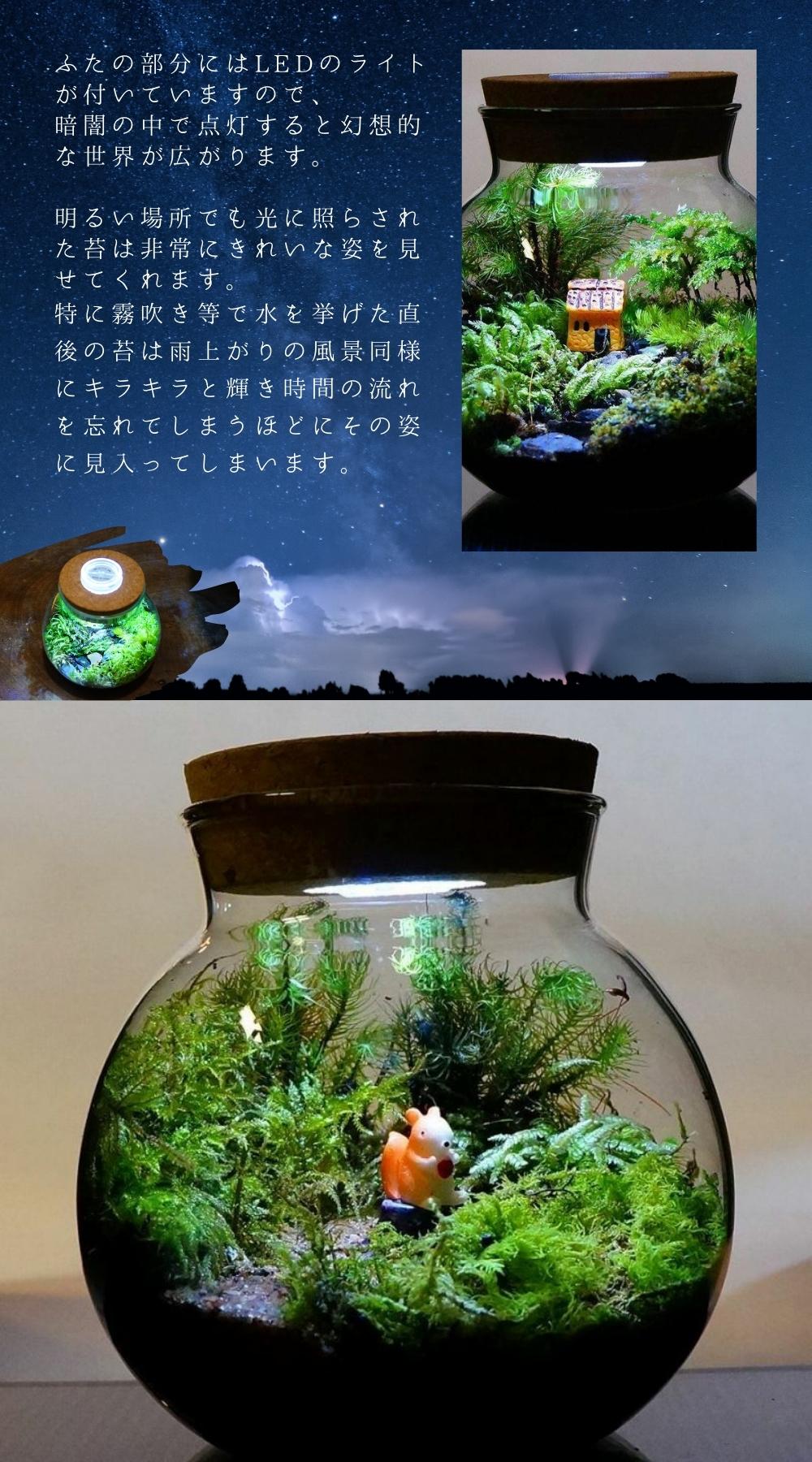 LEDライト付 ミニサイズ ボトルテラリウム 10cm 苔テラリウム 完成品 至高の食事処 テラリウム プレゼント ギフトにも 3