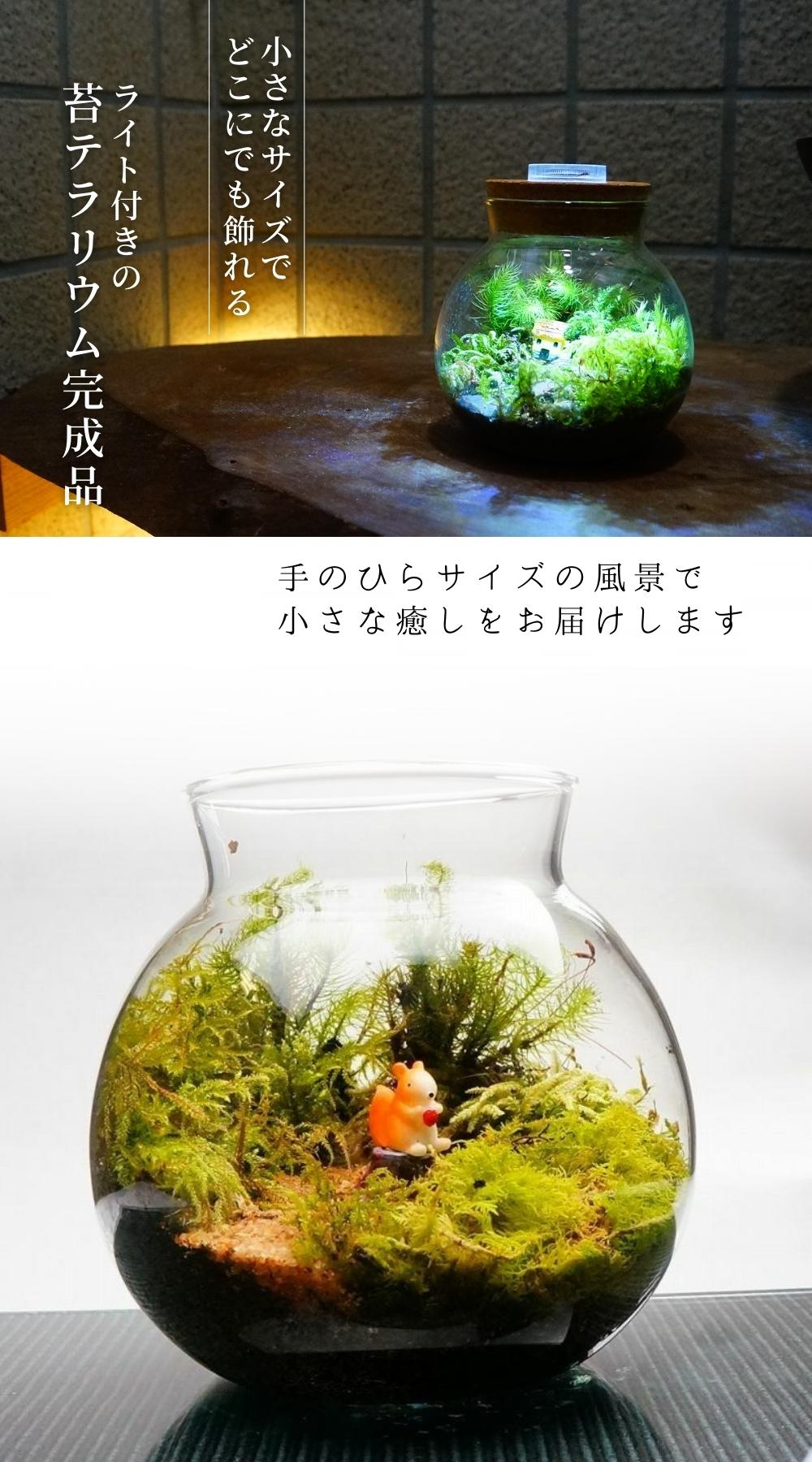 LEDライト付 ミニサイズ ボトルテラリウム 10cm 苔テラリウム 完成品 至高の食事処 テラリウム プレゼント ギフトにも 2