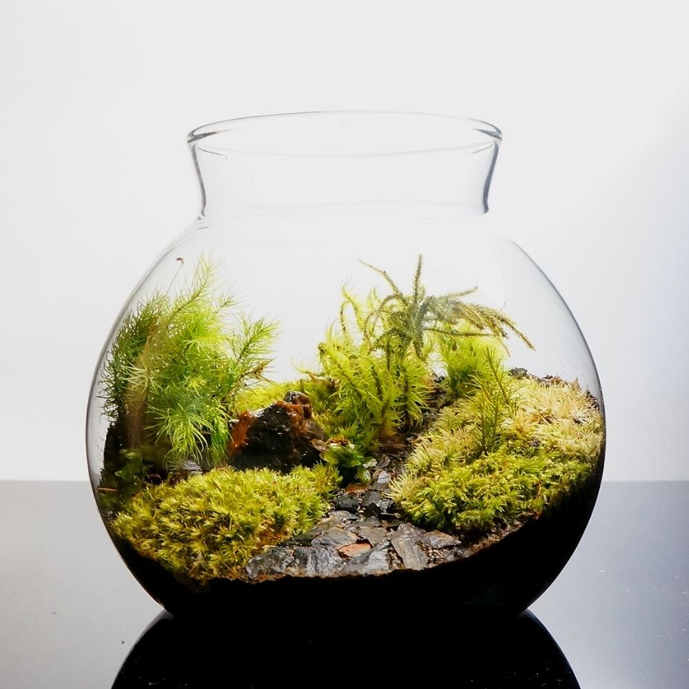 �ڴ����ʡ�LED�饤���� �ܥȥ�ƥ�ꥦ�� 14cm �ݥƥ�ꥦ��ڹ��С��𸶤�³��ƻ �ƥ�ꥦ�� �ץ쥼��� ���ե� ���տ�ʪ ����� ���۽ˤ� ��Ź�ˤ� ������ ���ؽˤ� ���޲� ���̲� ������� £��ʪ ����ƥꥢ ���꡼��