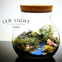 【完成品】LEDライト付 ボトルテラリウム 16cm 苔テラリウム 新生活 入学祝い 歓迎会 送別会の雪景色 冬 テラリウム プレゼント 青龍石 インテリア 観...