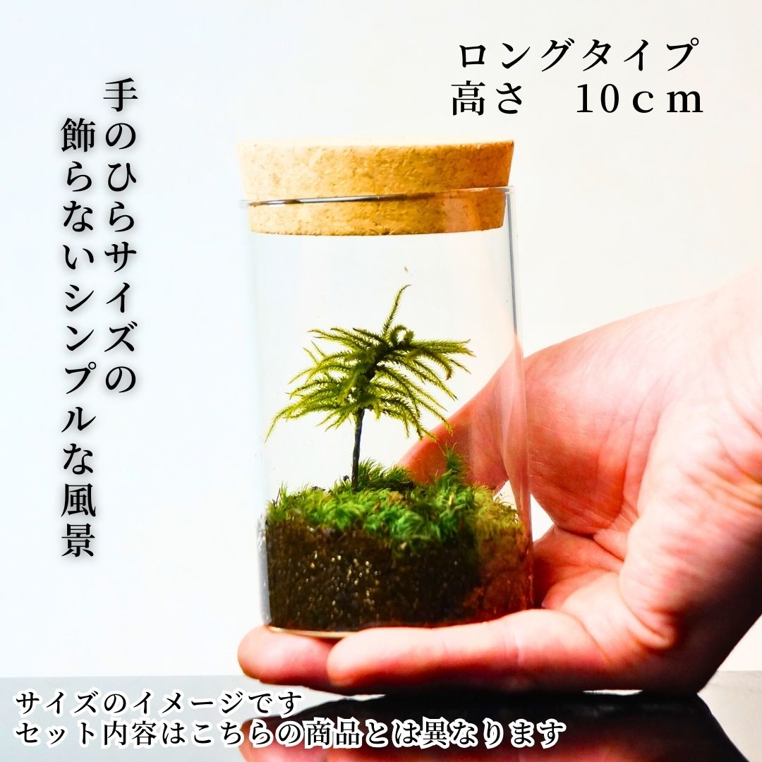 �ڴ����ʡۥܥȥ�ƥ�ꥦ�� 65mm �Х��å� �ݥƥ�ꥦ�� �ƥ�ꥦ�� ������ ���ؽˤ� ���޲� ���̲�ץ쥼��� ������ �ϴ��� ��ζ�� �ڲ��� ����ƥꥢ ���տ�ʪ ������� £��ʪ���ݤ�����