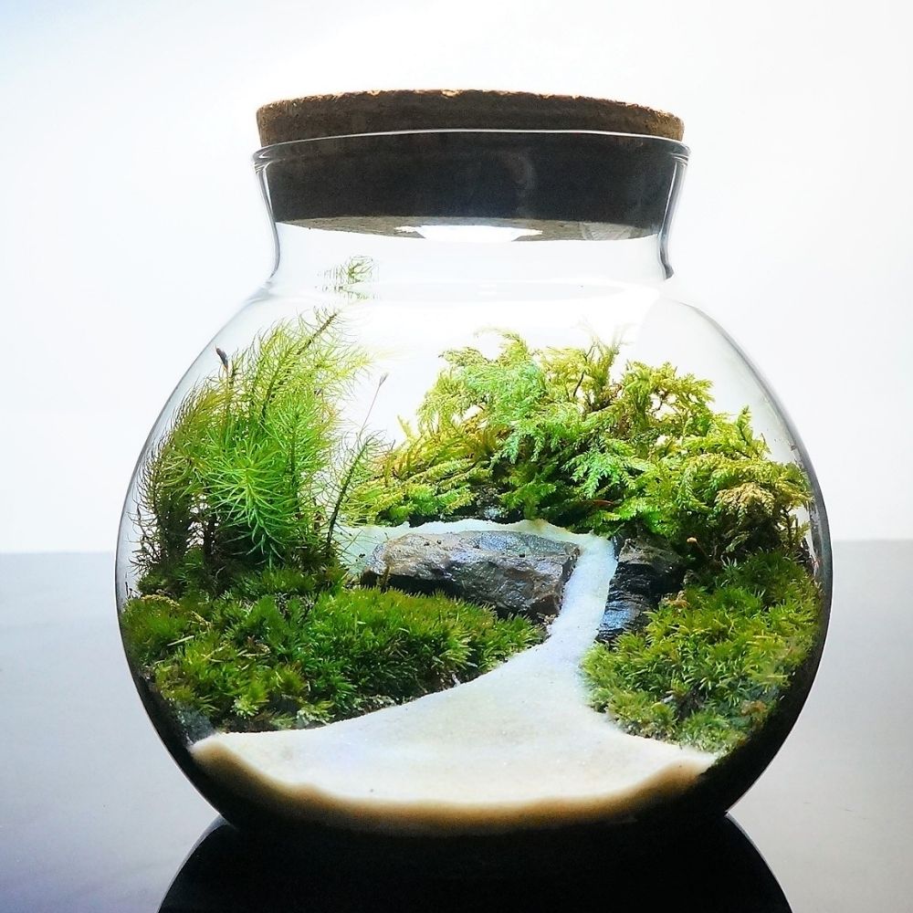 �ڴ����ʡ����٤�3������ LED�饤���� �ܥȥ�ƥ�ꥦ�� �ݥƥ�ꥦ�� �� ���տ�ʪ ����ƥꥢ���� ���ե� �ץ쥼��� ���ή������� �ƥ�ꥦ�� ����� ���۽ˤ� ��Ź�ˤ� ������ ���ؽˤ� ���޲� ���̲� ������� £��ʪ ����ƥꥢ ���꡼��