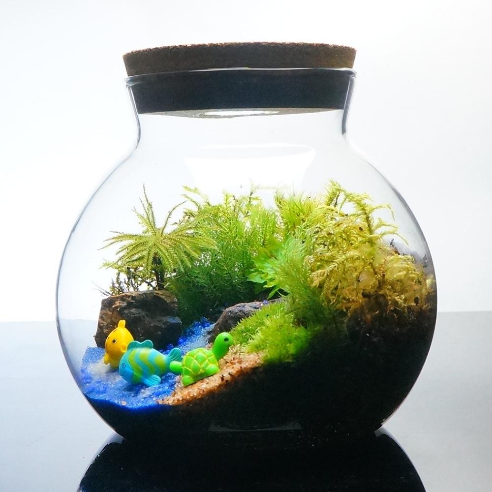 �ڴ����ʡ� LED�饤���դ� �ݥƥ�ꥦ�� 13cm �ܥȥ� ����ή����� ����ƥꥢ ���� ���տ�ʪ ���꡼�� �ץ쥼��� ������ ����� ���ؽˤ� ������ ���޲� ���̲� ���ե� ���۽ˤ� �뺧�ˤ� ��� ���� �����ƥ� ��� �ǥ��� �࿦�ˤ�