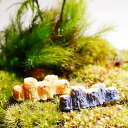 並んだ切り株 横3.3cm 建物 街の風景 ミニチュア ジオラマ 動物模型 苔テラリウム おもちゃ フィギュア