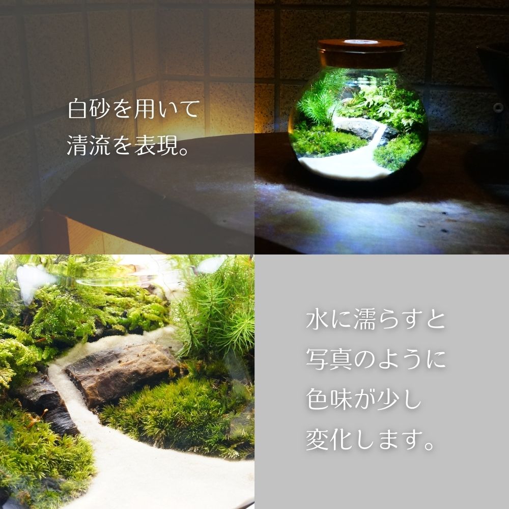 �� ���顼����� 20g �Ѿ��� �ݥƥ�ꥦ�� ���߷ʤ� ���餵��ǥ쥤�����ȤΤ��䤹���� �캽 ����ե� ���ƥʥ�