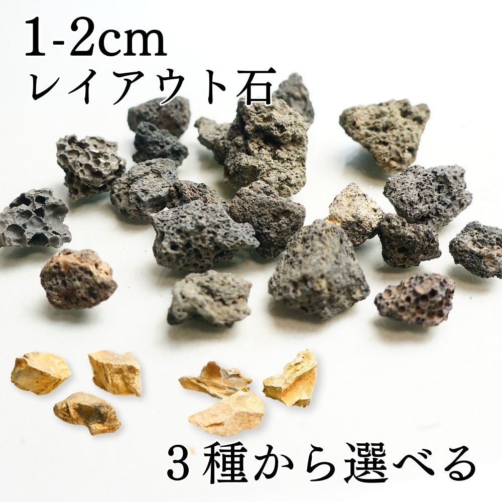 全3種 1-2cm 20個 溶岩石 気孔石 木化