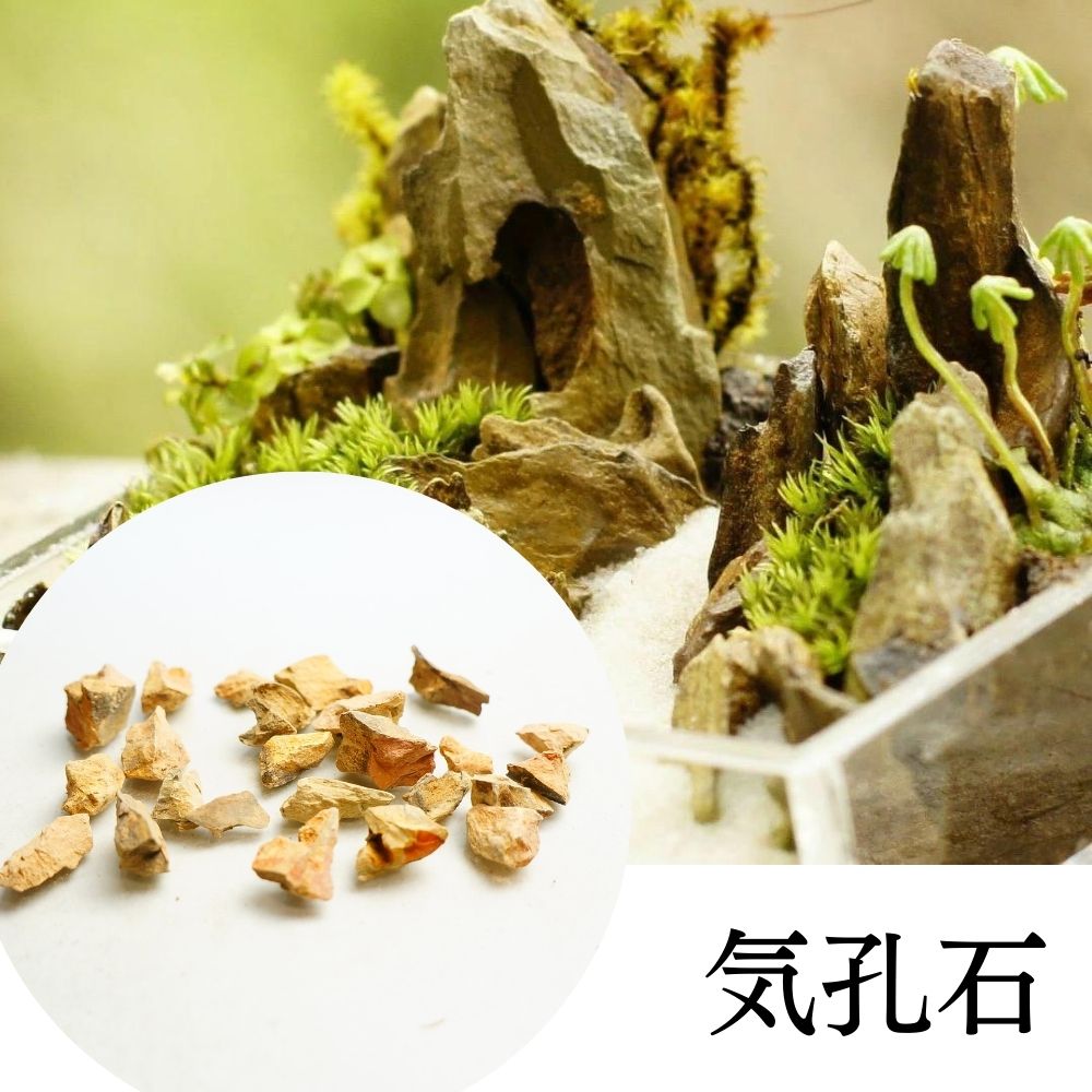 ��3�� 1-2cm 20�� �ϴ��� ������ �ڲ��� ��ζ�� ������ Ķ�ߥ� �ܥȥ�ƥ�ꥦ�� �ݥƥ�ꥦ�� ������Ǥ�� �쥤�������� �������ꥦ�� �������ƥ�ꥦ��