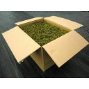 苔 スギゴケ 杉苔 庭園苔 【杉苔並品8枚入り×3箱セット(約2.4平米)】