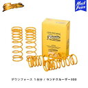 ZOOM ダウンフォース 1台分 ランクル300 VJA300W V35A-FTS H33/08〜 3.5L F:DOWN(40〜45) R:DOWN(40〜4...
