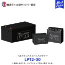 岐阜バッテリー GBスタンバイユースバッテリー VRLA鉛蓄電池 AGM【LP12-30】| 無停電電源装置(UPS)/電力システム(EPS)/非常用バックアップ電源etc 補水不要 12V T6-I M6
