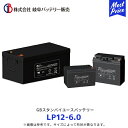岐阜バッテリー GBスタンバイユースバッテリー VRLA鉛蓄電池 AGM【LP12-6.0】| 無停電電源装置(UPS)/電力システム(EPS)/非常用バックアップ電源etc 補水不要 12V T1 T2