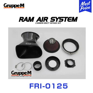 GruppeM M's ラムエアシステム MERCEDES BENZ M-CLASS 163154 ML320 1998-2005 【FRI-0125】 RAM AIR SYSTEM | K&N グループエム エアインテーク ハイフロー エアフィルター コア エアクリーナー