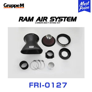 GruppeM M's ラムエアシステム MERCEDES BENZ E-CLASS 210065/265 E320V6後期 2000-2002 【FRI-0127】 RAM AIR SYSTEM | K&N グループエム エアインテーク ハイフロー エアフィルター コア エアクリーナー