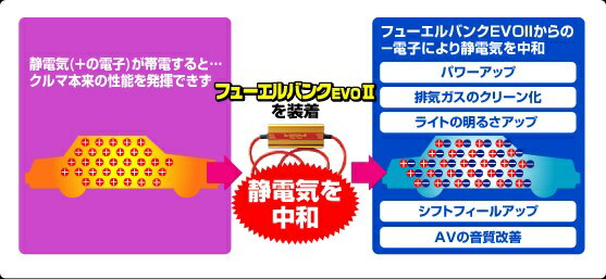 �Хåե����� �ե塼����Х� evo2