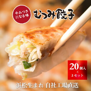 むつみ屋のギョーザ むつみ餃子【冷凍】 60個(20個入 x 3セット) | むつみ屋 ギョーザ 浜松餃子 産地直送 贈答 冷凍ギョーザ クール冷凍便
