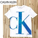 送料無料 Calvin Klein カルバンクライン CK ビッグロ