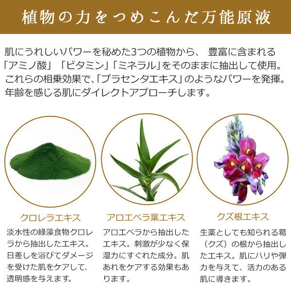 エビス〔ebis〕エクセレントバイオEX100(10mL)プラセンタ原液 原液【BD】メール便で【送料無料】美容液原液メB motebeauty-10083899 美顔器・原液ならモテビューティー サンプル画像3