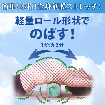 スリムウェーブ ミントブルー/振動 ストレッチポール/振動 ヨガポール/振動マシン/ストレッチ用ローラー/ヨガマット付