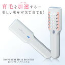 育毛美顔器イオンプルレヘアーブースター ems電気針 ヘッドスパブラシ 頭皮マッサージブラシ 女性用 育毛剤導入器 頭…