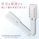 育毛美顔器イオンプルレヘアーブースター ems電気針ヘッドスパブラシ 頭皮マッサージブラシ 女性用 育毛剤導入器 頭皮ems 高周波(RF) イオン導入 音波振...